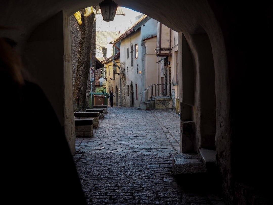 Estonia Digital Nomad Visa: Key Requirements for 2026