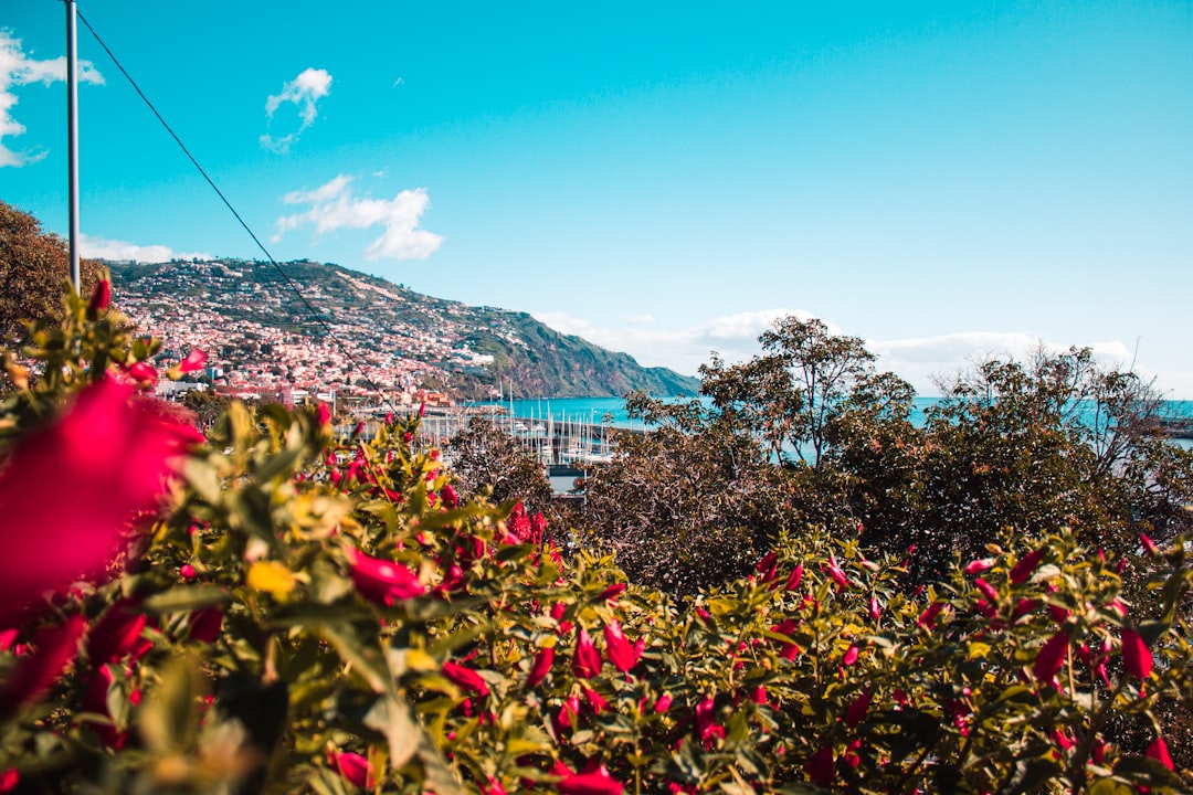 Portugal Golden Visa 2026: New Investment Options