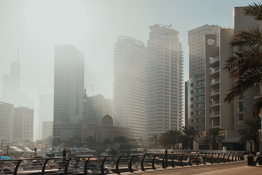 Comparing Dubai Free Zones: 2026 Insights