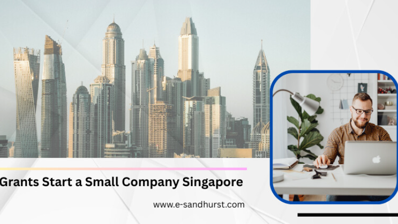 Singapore Startup Grants: Key Programs and Application Tips