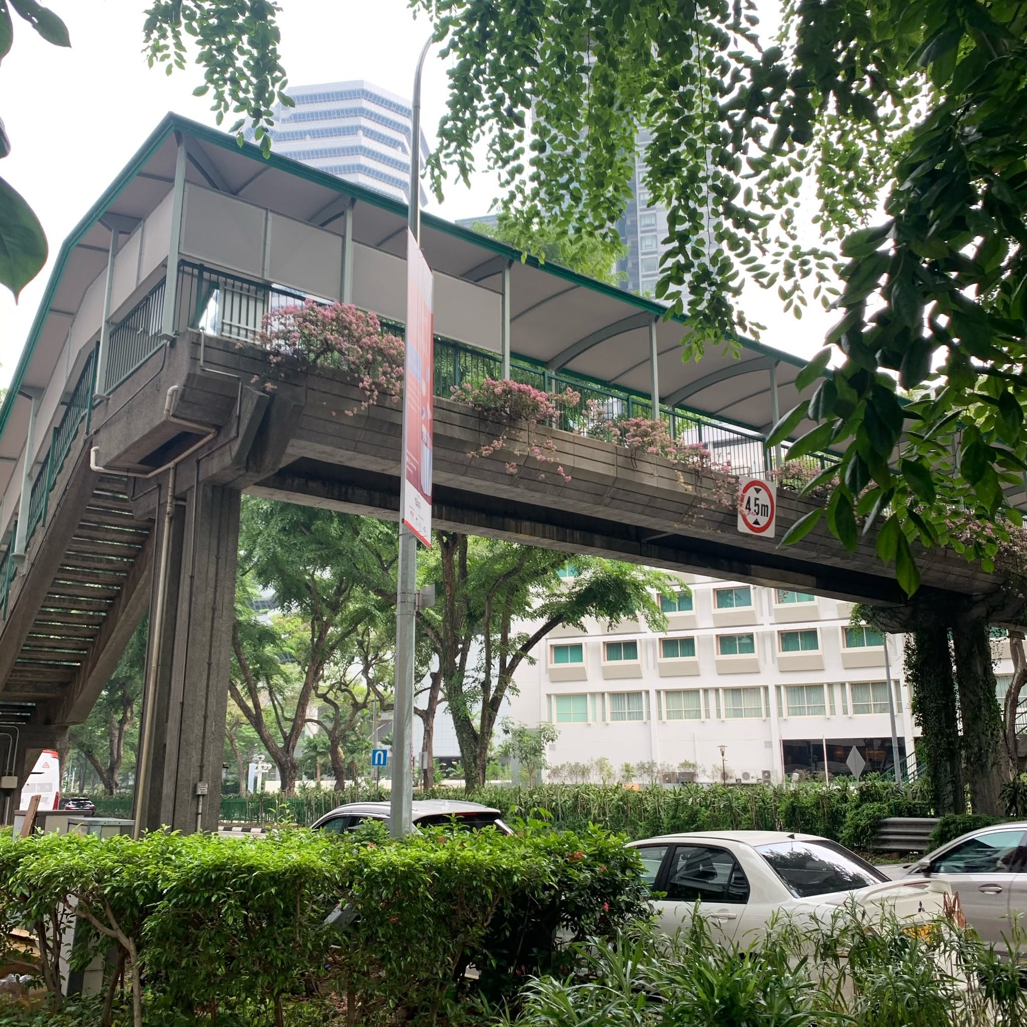 Singapore EntrePass: Visa Details for Entrepreneurs