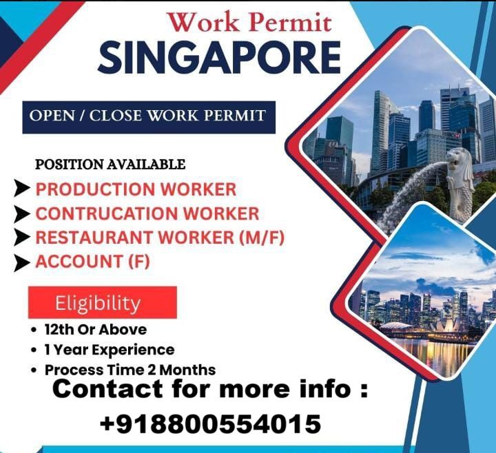 Singapore Permanent Residency for Business Owners: Key Info