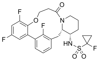 PatSnap